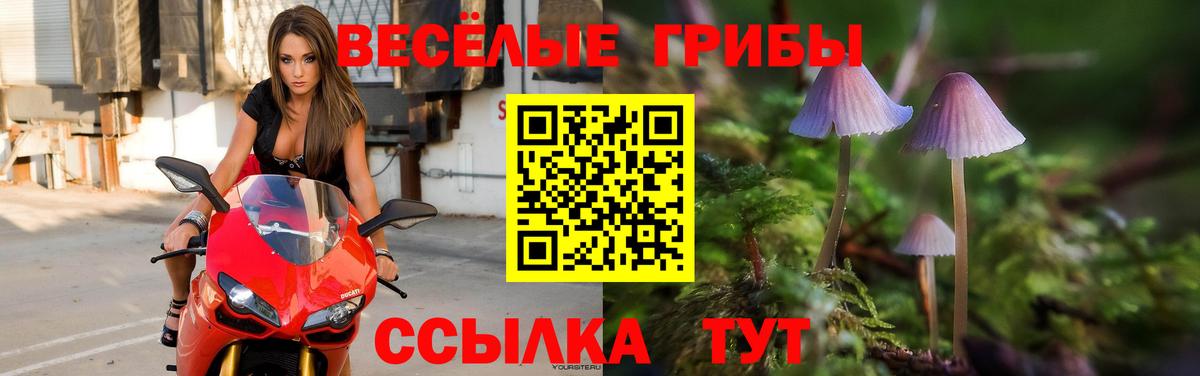 Псилоцибиновые грибы Magic Shrooms  Псилоцибиновые грибы GOLDEN TEACHER  Белорецк  Вход с VPN 